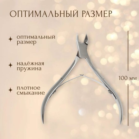 Manicure nippers for cuticle, double spring, 10 cm, blade length - 12 mm, on the blist, silver color-1