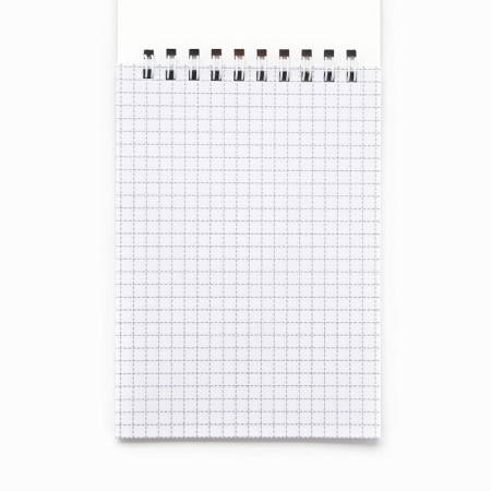 Notepad A6, 40 liters on the crest, the soft cover of Kapibara-1