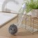 Dishes for dishes with a dosper of a share, 7 × 5 × 22 cm