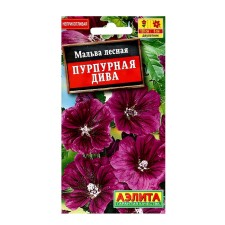 Mallow flowers 