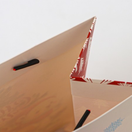 Laminated Package "Beast", MS 18 × 23 × 10 cm-2