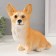 Figure "Puppy Corgi" 23 x 11 x 24 cm.
