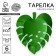Set of disposable plates "Leaf" 6 pieces