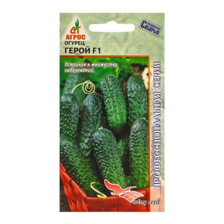 Seeds Cucumber "Hero" F1 8pcs* Wing Seeed