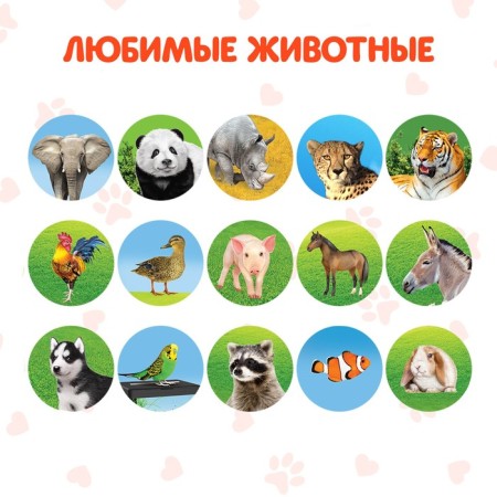 Projector-Funder "Miau: Study animals"-2
