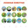 Projector-Funder "Miau: Study animals"