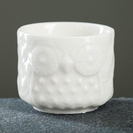 Filin pot of 6.5x6.5x5.5cm, mix-5