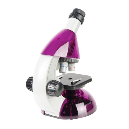 Microscope micromed atom 40x-640x, color amethyst-1
