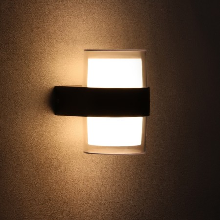 Facade lamp "Double Grand", FSD-081, 10 W, 3000K, IP65, 220 V, Metal, Black