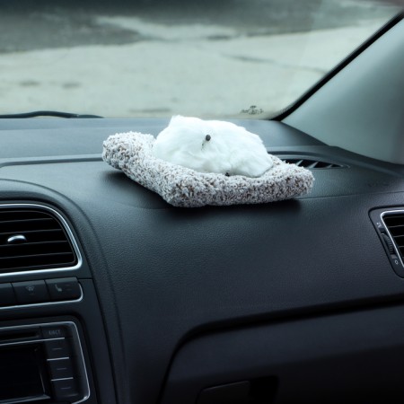 Toy on a car panel, a dog on a pillow, white color-3