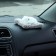 Toy on a car panel, a dog on a pillow, white color