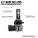 LED AUTOPROFI, HB4, 12V / 15W, 6000K, 4000 LM, in a set 2 pcs