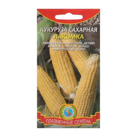 Sugar corn seeds "varnish", 4 g