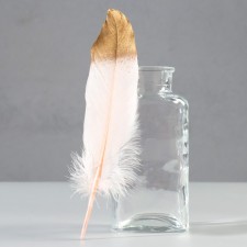 A set of goose feathers 15-20 cm, 10 pcs, light pink with gold