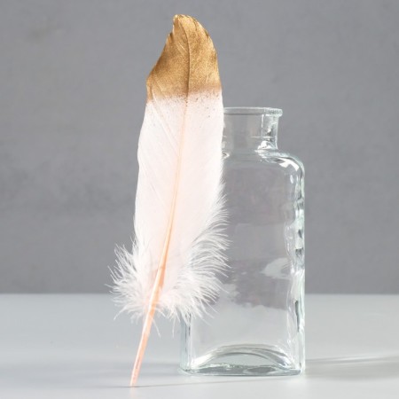 A set of goose feathers 15-20 cm, 10 pcs, light pink with gold