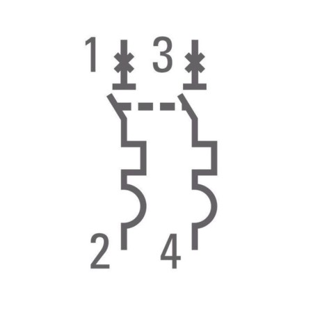 Switch automatic modular 2p C 4.5ka VA 47-63 Proxima EKF MCB4763-2-04C-PRO-1