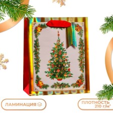 Gift package 
