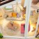 Interior designer Hobby Day Minihouse “The 21st Century Hut”, Rumbox
