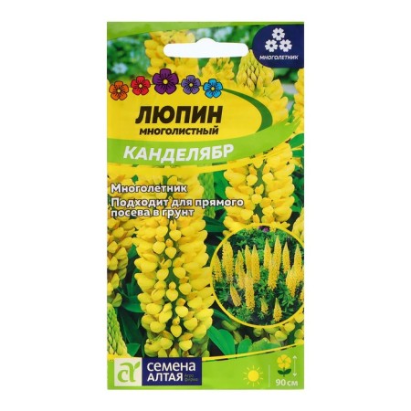 Lupine seeds "Candelabr", 0.3 gr.