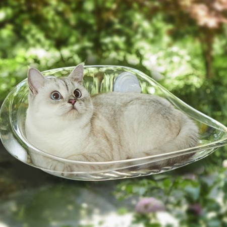 Gamak for a cat on a window, 50*30.5*20 cm, weight up to 8 kg, transparent