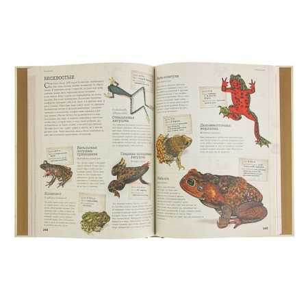 Children's Encyclopedia "Animals". Volcit P.M., Stepanova L.V.-2