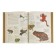 Children's Encyclopedia "Animals". Volcit P.M., Stepanova L.V.