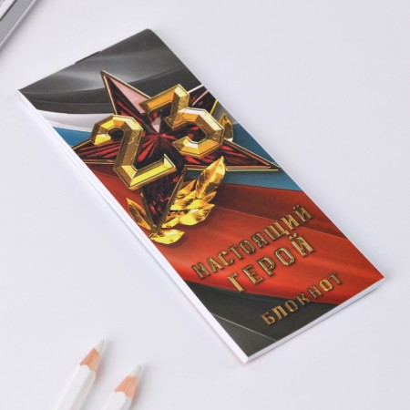 Gift set "Defender of the Fatherland. 23 February ", notebook 16 sheets and pen Plastic-4