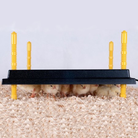 Heating panel Comfort 40x40 cm 38 W for chickens-2