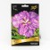 Japanese Iris "Kiyozur", 1 pc, rr I, spring 2025