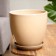 Flower coffee pot with a stand with a stand, beige