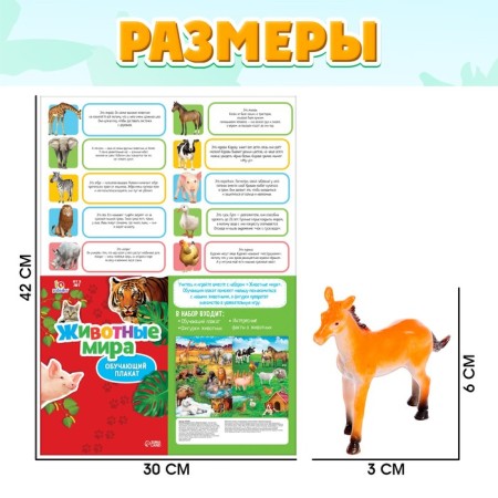 Training set "Funny Animals": animals and poster, according to the Montessori methodology-3
