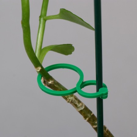 Set of mounts for plants, 4 x 3 cm, set 30 pcs, "Greengo-1