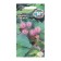 Flower seeds mimosa "lyrics", bashful, pink, euro, 0.1 g