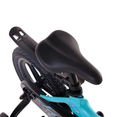 Bicycle 14 ’’ maxiscoo jazz pro, Mint color-6