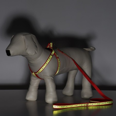 The “Bones and Paws” set of a reflective, leash 120 x 1.5 cm, OG 36-52 cm, red-7