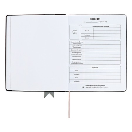 Universal diary for grades 1-11 Lenta, solid cover of artificial leather, applique, silkography, liesse, 48 sheets, black-3