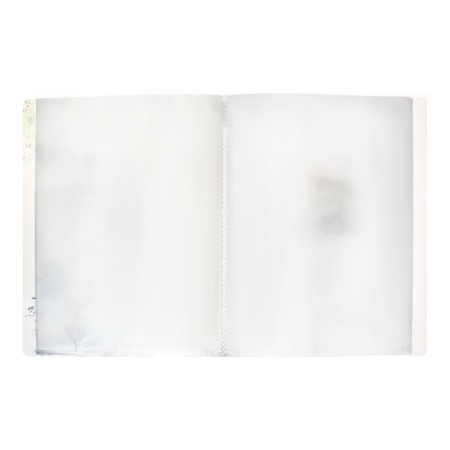 A4 folder, with 60 transparent files "City", mix-7