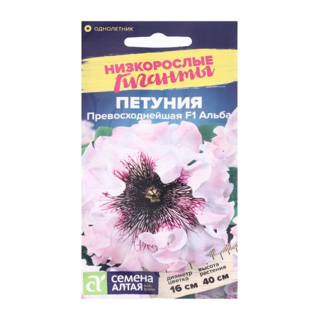 Flowers of Petunia "excellent alba", undersized giants, this. ALT, c/n, 10 pcs-2