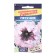 Flowers of Petunia "excellent alba", undersized giants, this. ALT, c/n, 10 pcs