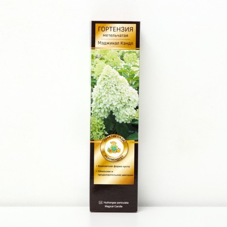 Hydrangea blizzard luxury "Magical Candle", 1 pc, tube, spring 2024