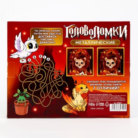 Metal puzzles 16 pcs "Wizard"-10