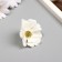 Budon on the leg for decoration "Multilayer chamomile White" 6x6 cm