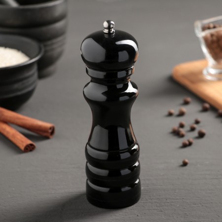 Mill for spices "Paints", 16 cm, black color