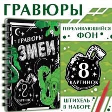 The book 