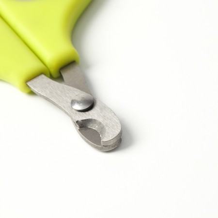 Coger scissors with soft handles, a hole of 8 mm, green-gray-1