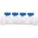 Kalde collector, polypropylene, air vent, shut -off crane, 4 outputs, blue handles