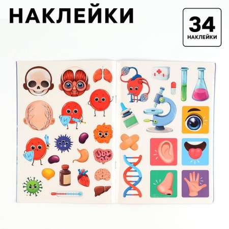 The training set "Human Body", a frame-laying frame and a book with stickers-3
