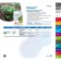 Remedy for electoral weeds "August", "lapis lazuli", 10 g