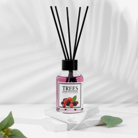 The aromatic "berries" diffuser, 100 ml-1