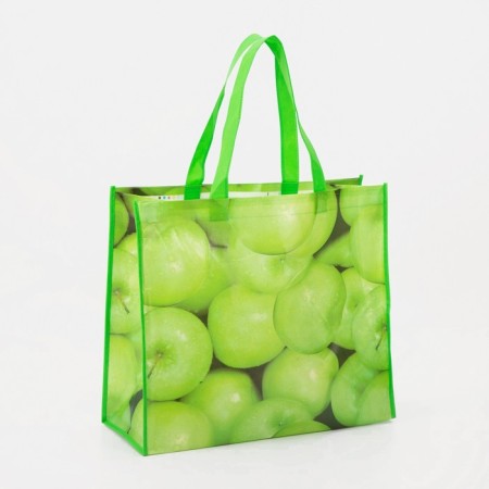 Household bag without lightning, green color